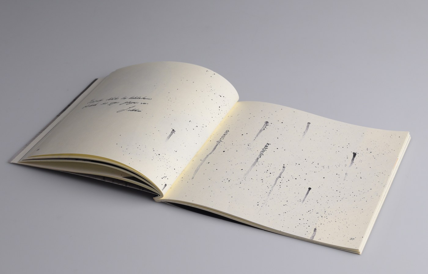Open book showing uncoated paper texture, ink bleed and a handwritten dedication